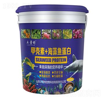 �ך���+�����~����-������-������