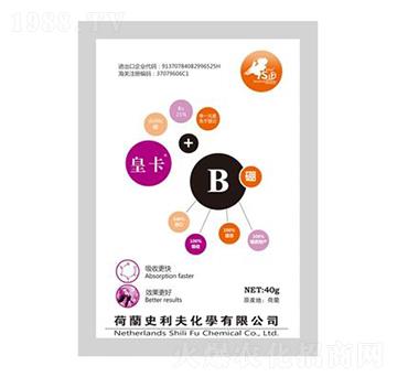 �ʿ���-ʷ����