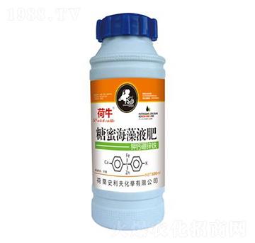 ���ۺ���Һ��-��ţ-ʷ����