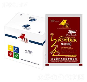 ��ţ������-ʷ����