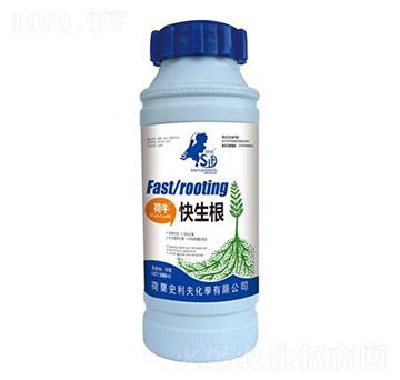 ����������-ʷ����