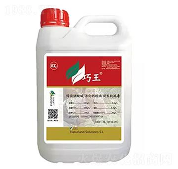 �t����-��Ȼ��