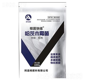 1000g����ľù��-�����쾀-����ķ