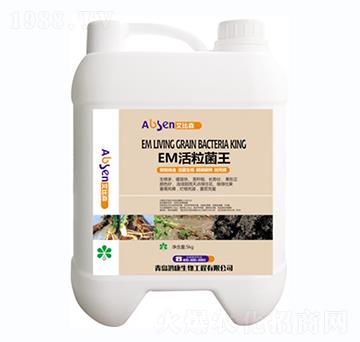 EM��������-��������