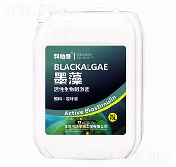 ī��-������-��������