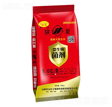 40kg΢�������-ꃻ�