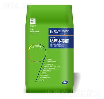 ����ľù��-������