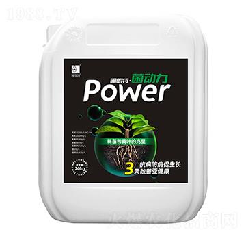 ������-������