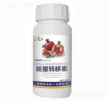 ʯ�������D(zhu��n)����-�h�滯��