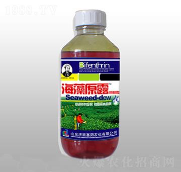 ����ͺ���ԭ¶-ِ�����