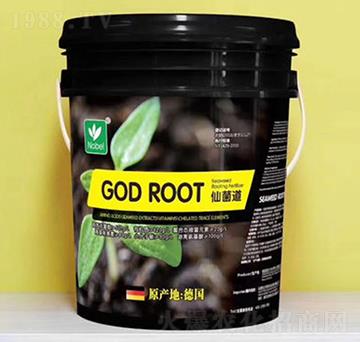 �ɾ���-������