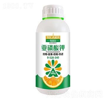 �������0-520-340-���R��