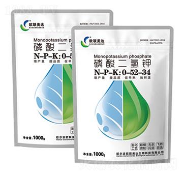 �������⛣��򻯣�-������-�W(li��n)���_(d��)