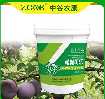 ������-ֲ���ɘ�-�й��r(n��ng)��