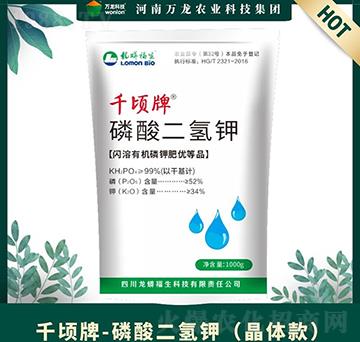 �������⛣����w�-ǧ���-�f(w��n)���Ƽ�