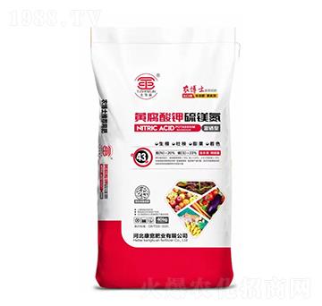 �S��������V��-�����ʘI(y��)