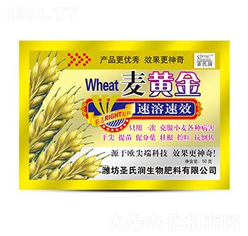 ���S��-ʥ�ϝ�