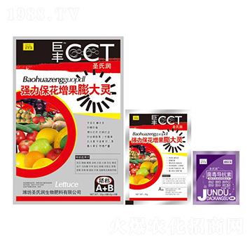 ��(qi��ng)��������������`-ʥ�ϝ�(r��n)