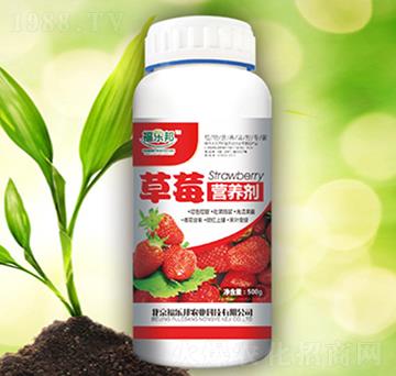 ��ݮ�I�B(y��ng)��-������