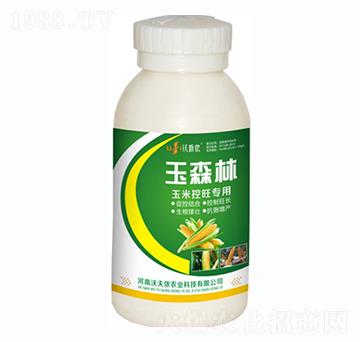 ���׿�������-��ɭ��-�ַ�z