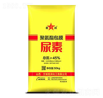 �۰�����Ĥ����-�ǝ�(r��n)����