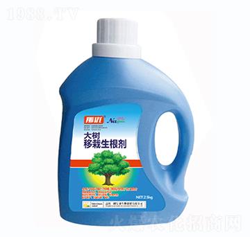 ���(sh��)����������-һ������(l��i)