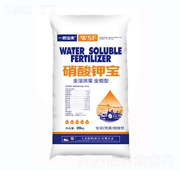 ����⛌�-һ������(l��i)