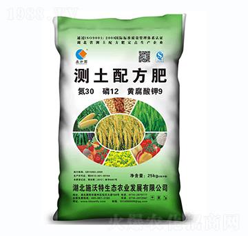 �y���䷽��30-12-9-ʩ����