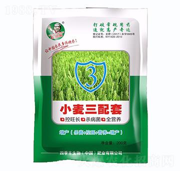 С��������-�ļ��S