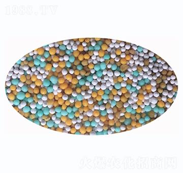 �w����-���r����