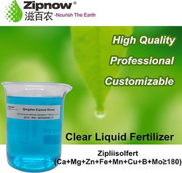 Zipliisofert-�̰��r(n��ng)