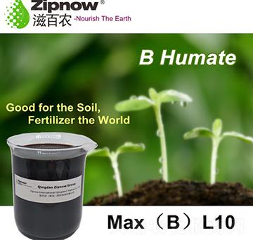 B��ֳ�|-�̰��r