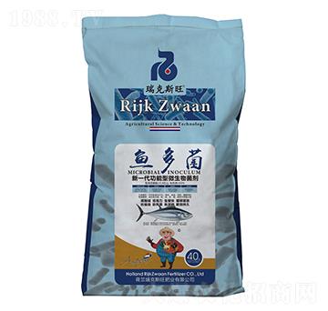 ��һ��������΢�������-�~(y��)���-���˹��