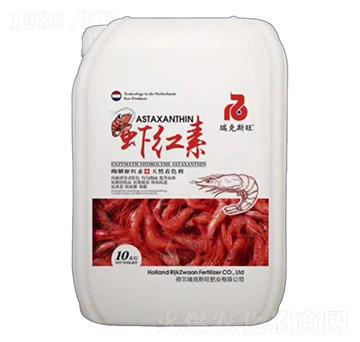 �r�t��-���˹��