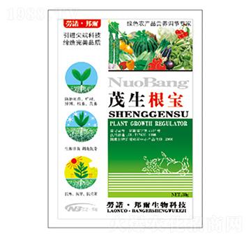 ï������-������