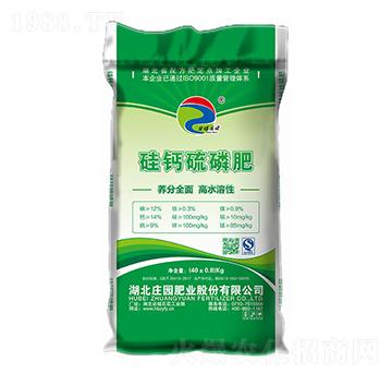 12%�w�����}����-�ȱ��f�@