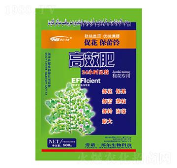 ��Ч��-������