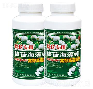 �޻����ú��պ��弃-������