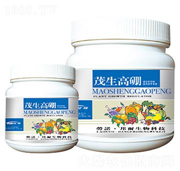 ï�����-������