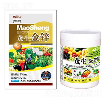 ï�����\-������