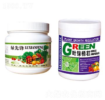 �G���h+�~�G�҉�-������