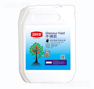 ������-�~���r(n��ng)-�Έ�����