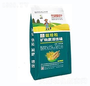 ͦ�o���V���|(zh��)���Թ�-�T���r(n��ng)�I(y��)