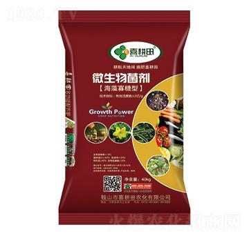 ���������΢�������-ϲ����