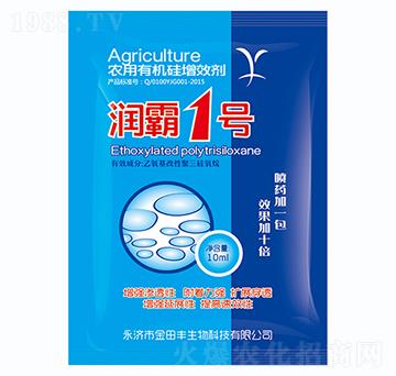 ����1̖-�����S