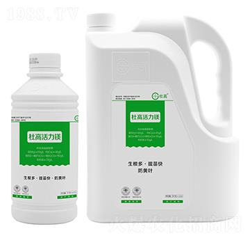 �����V-�Ÿ�