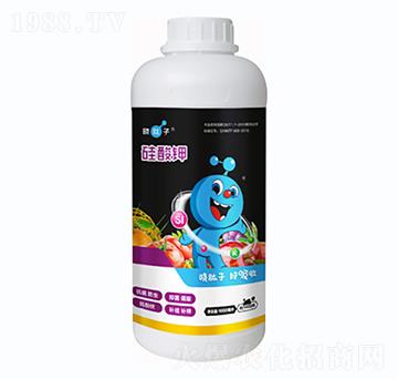 1000g�����-�Lɭ����