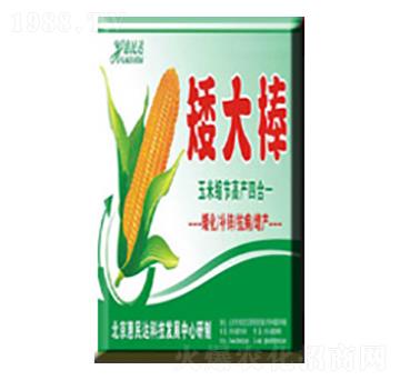 �~�����-�����-�����_