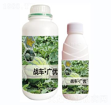 ��(zh��n)܇(ch��)���V��(y��u)-����-��(zh��n)܇(ch��)