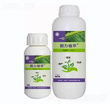 ֲ�����L(zh��ng)�̼���-�D��ֲ��-�D�͵�